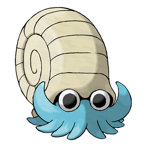 Omanyte