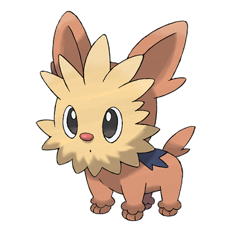 Lillipup