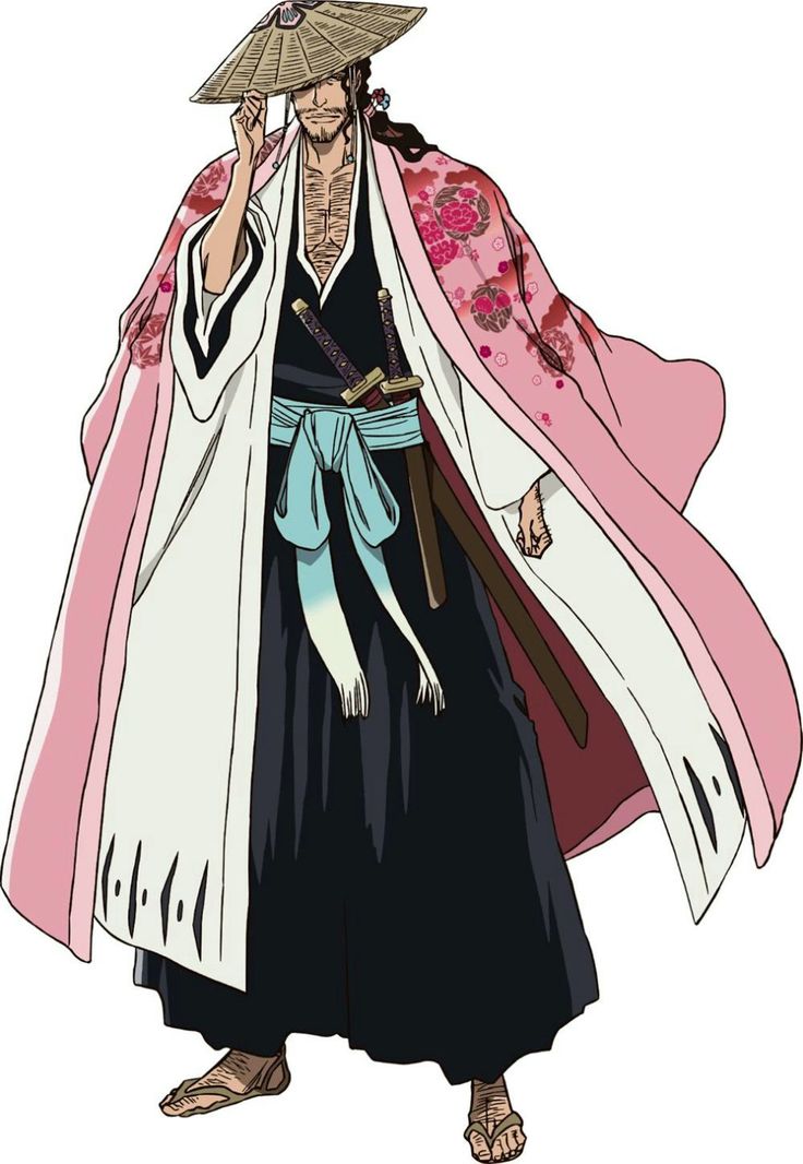 Shunsui (Bleach)