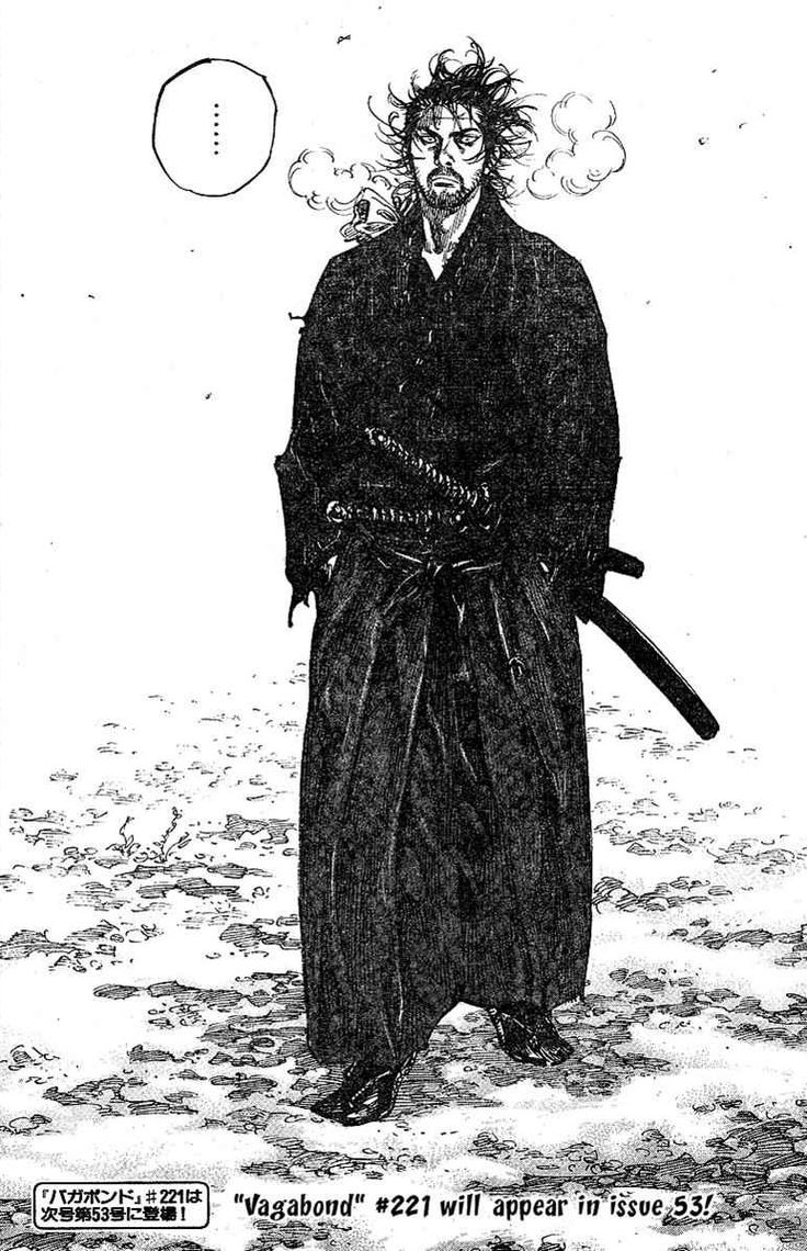 Masashi Miyamoto (Vagabond)