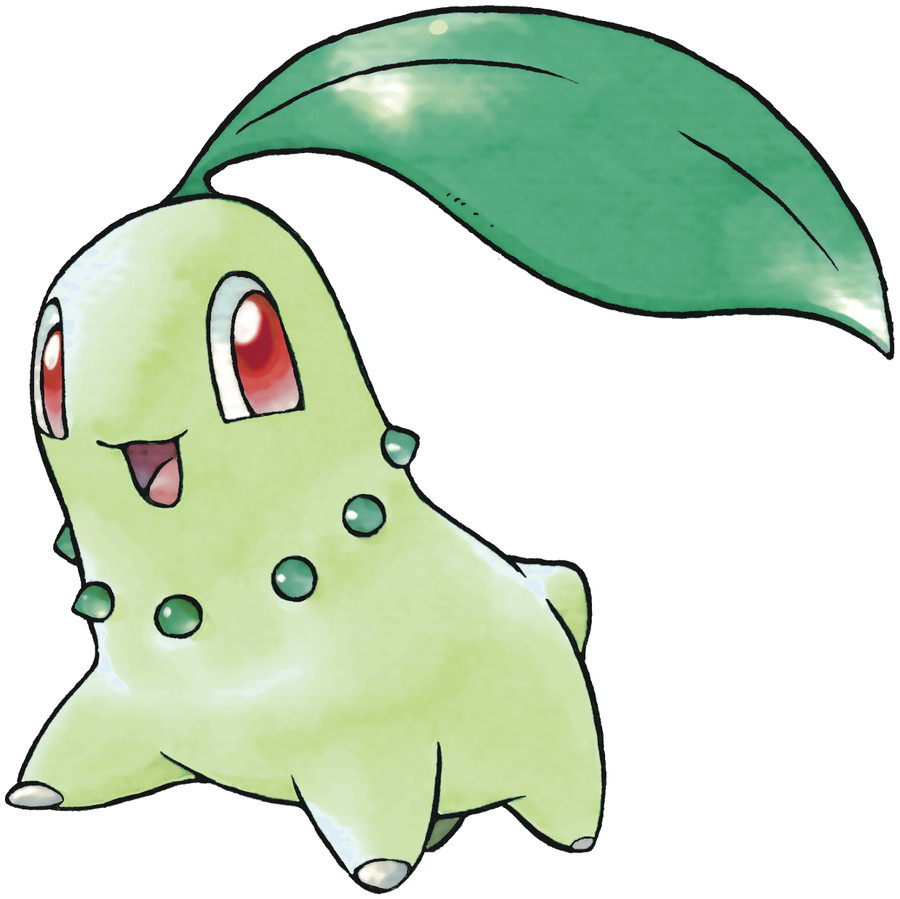 Chikorita