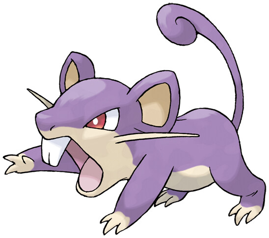 Rattata