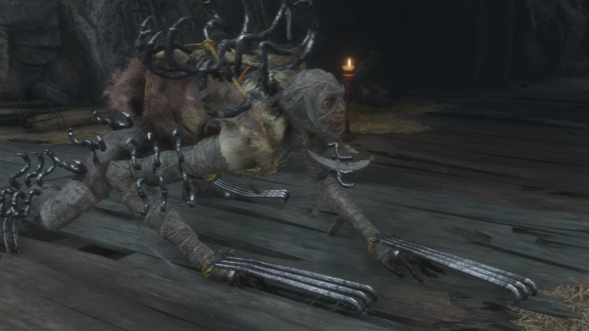 Long Arm Centipede Giraffe