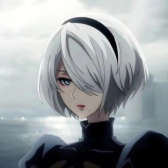 2B