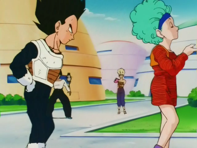 Vegeta & Bulma