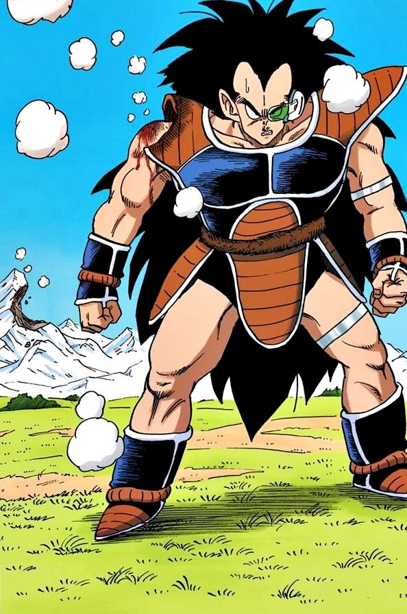 Raditz