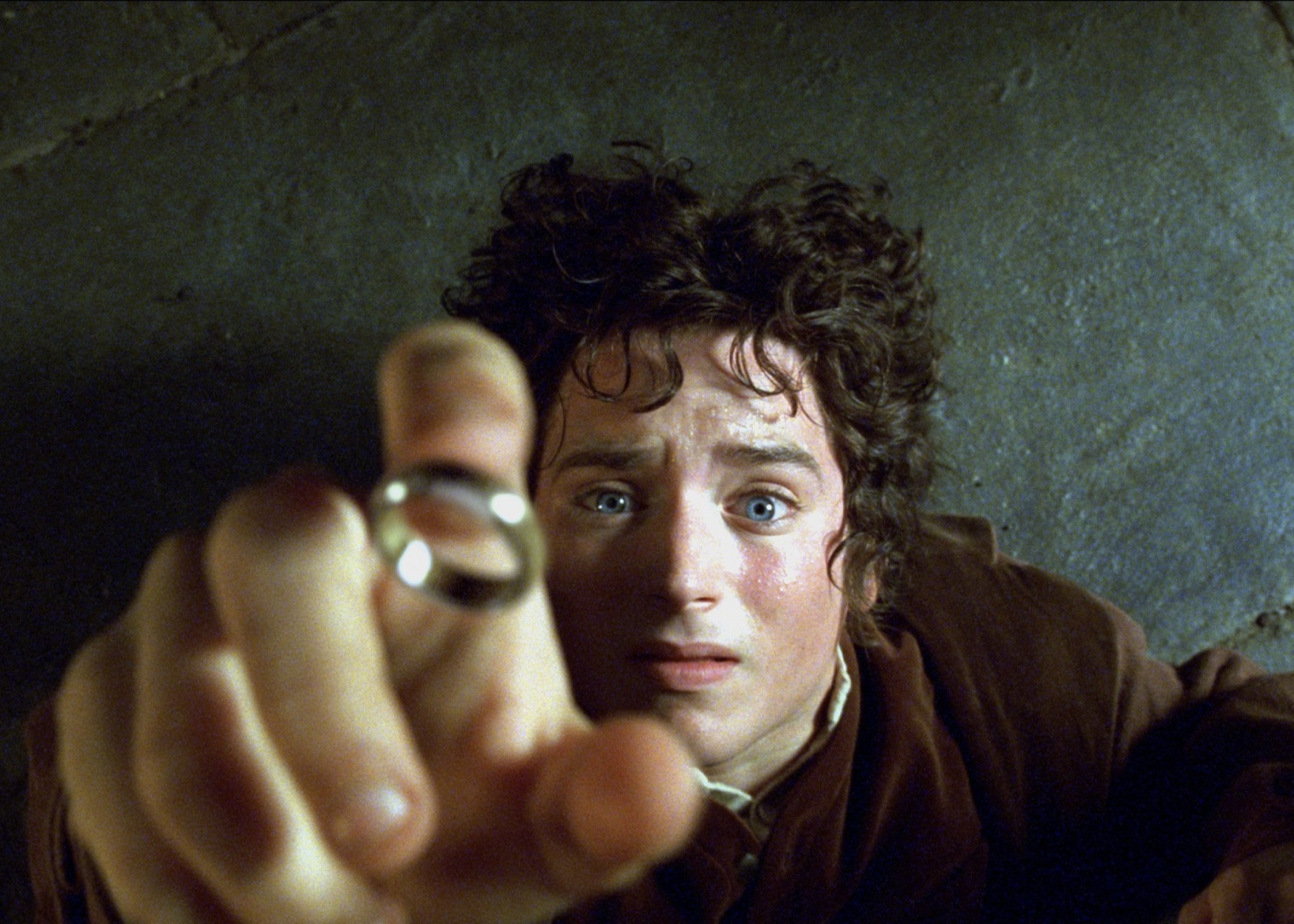 The Lord of the Rings: The Fellowship of the Ring (2001)