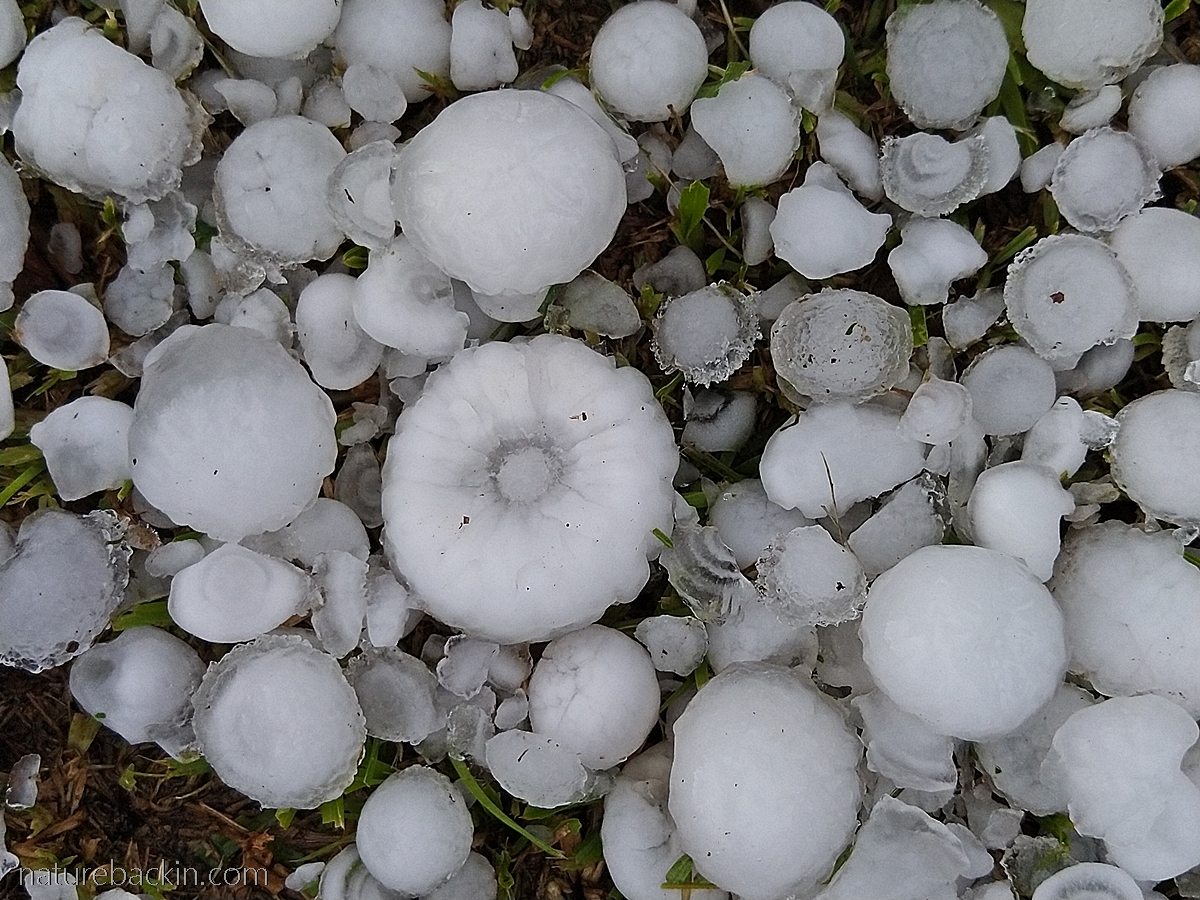 Hailstorm