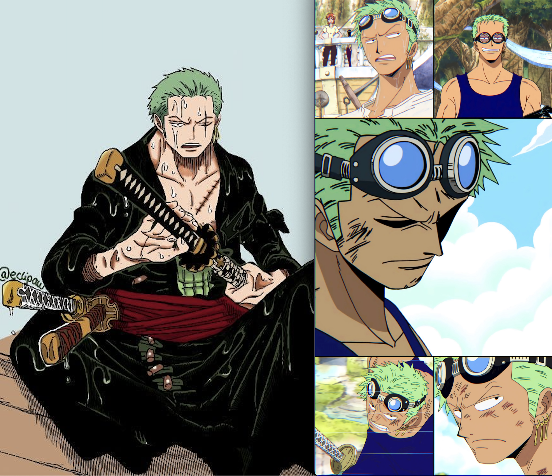 Zoro