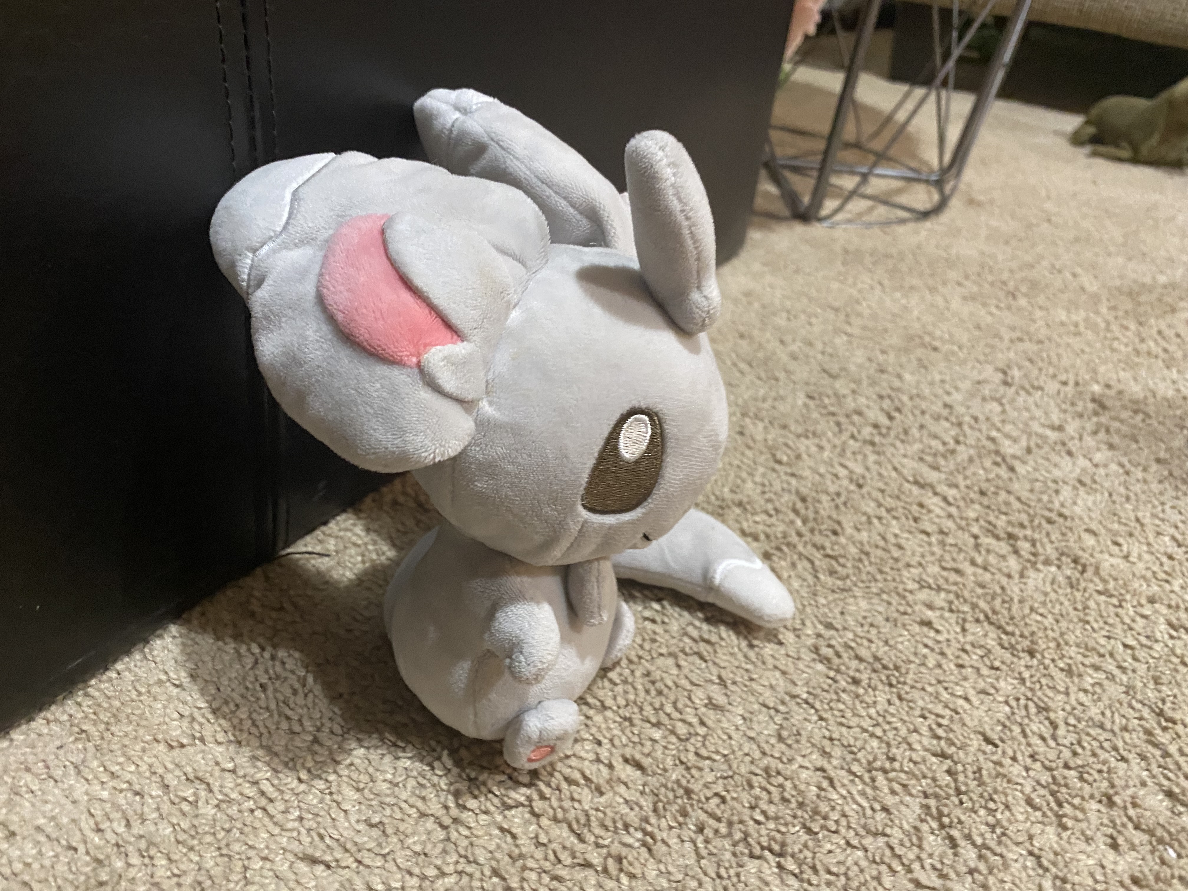 Minccino