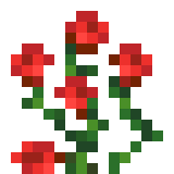 Rose Bush 