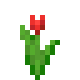 Red Tulip 