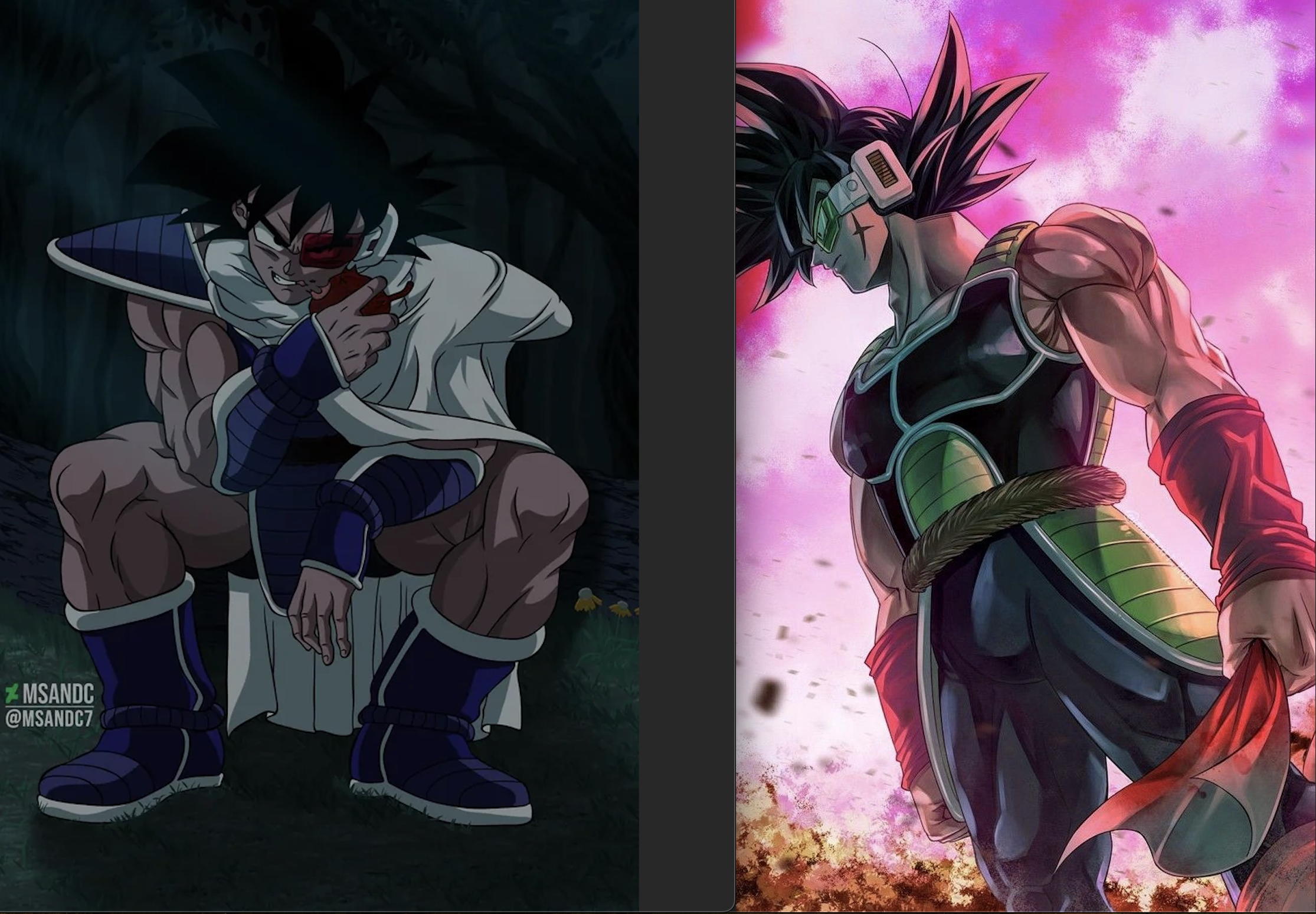 Turles:Bardock