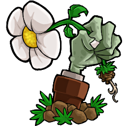 Which Plant from Plants vs Zombies (PvZ) has the most AURA