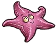 Sea Starfruit