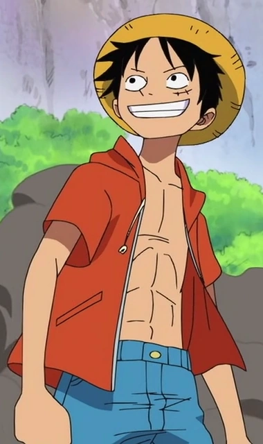 Luffy Little East Blue Arc Outfit