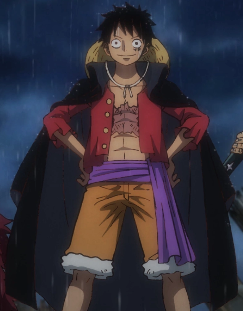 All Luffy Outfits