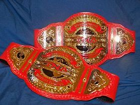 TNA Knockouts Tag Team Championship