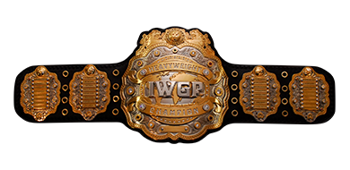 Best Wrestling Belt Designs