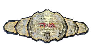 TNA Digital Media Championship
