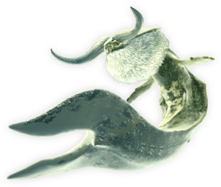 Ceadeus