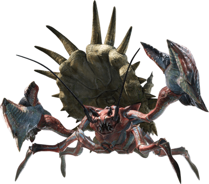 Daimyo Hermitaur
