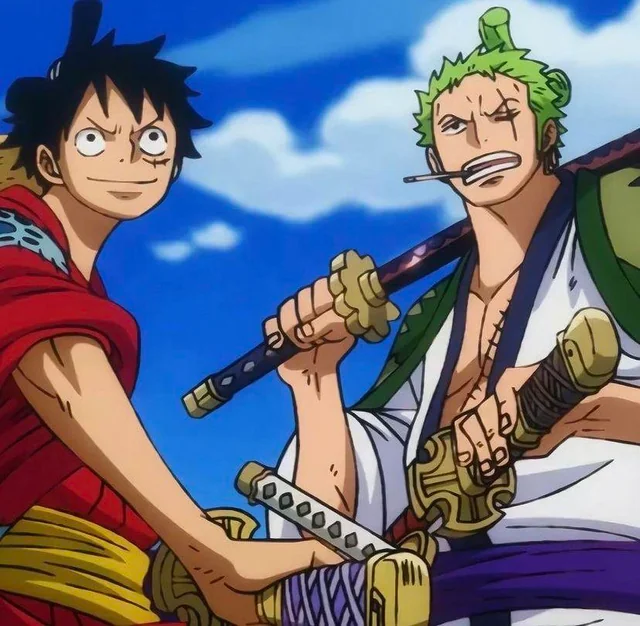 zoro luffy