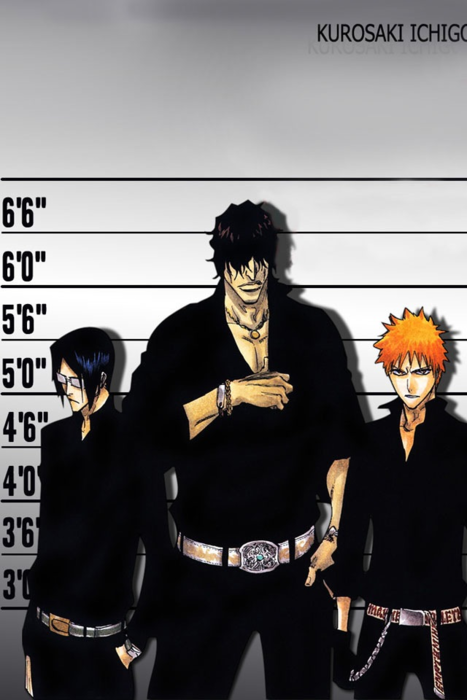 Ichigo, Chad And Uryu