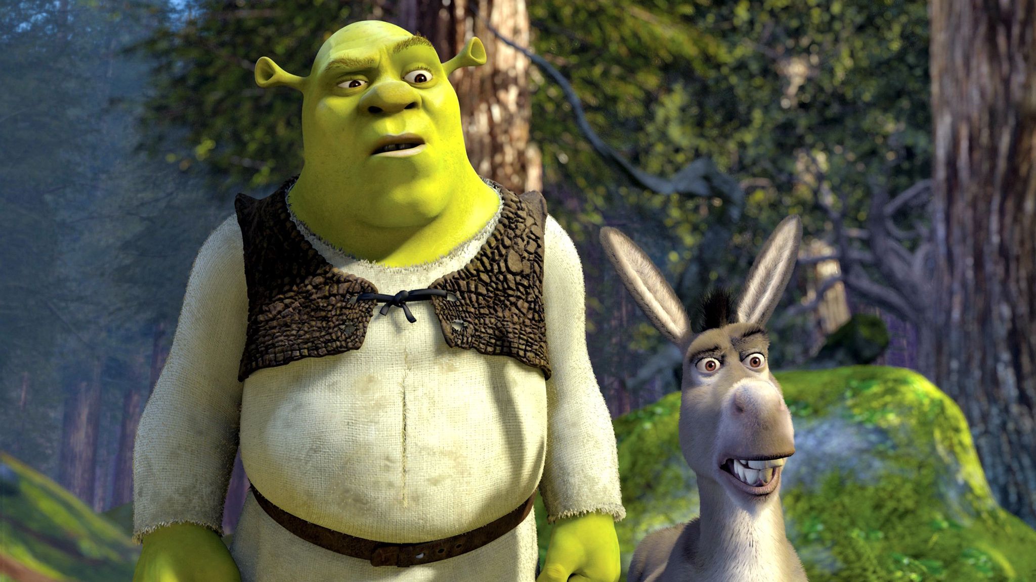 Shrek & Donkey