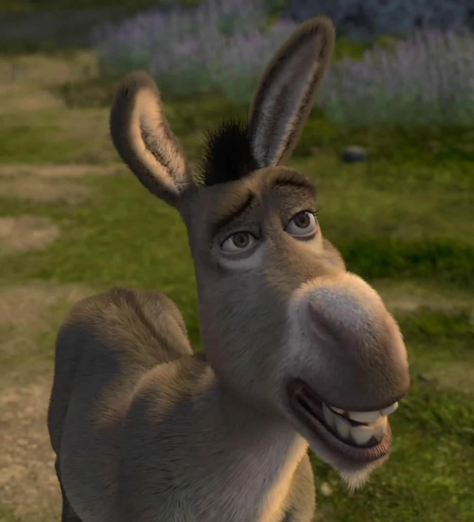 Donkey_Profile