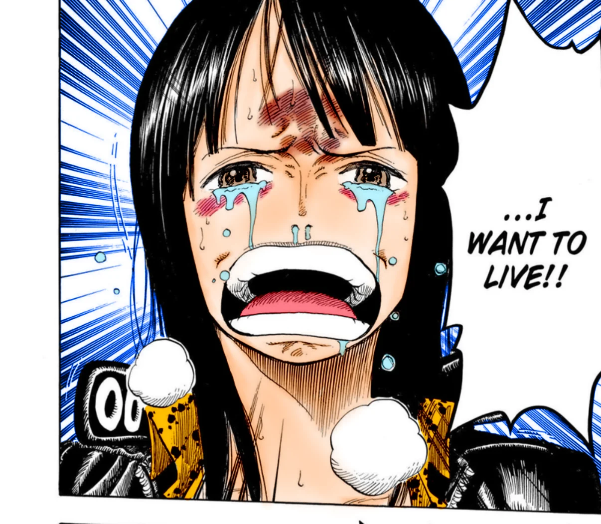 Best One Piece Panels Of All Time