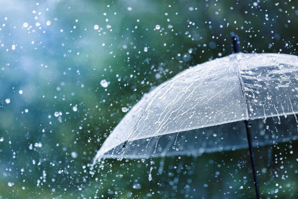 Istockphoto 1257951336 612x612
