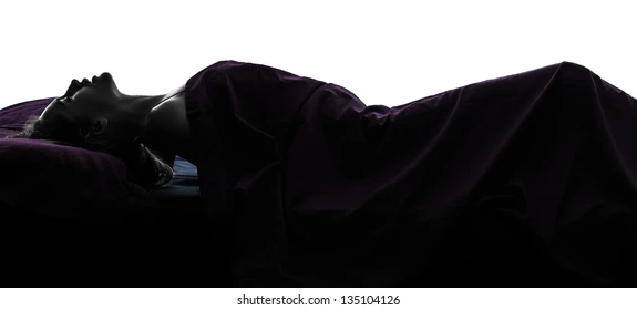 One Woman Bed Masturbating Silhouette 260nw 135104126