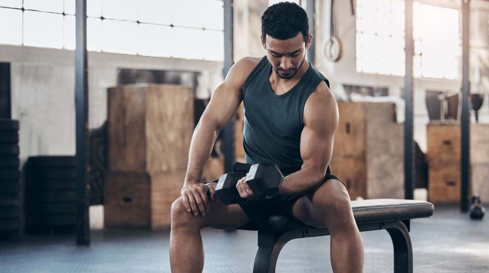 Gym Workout Plan For Gaining Muscle Header