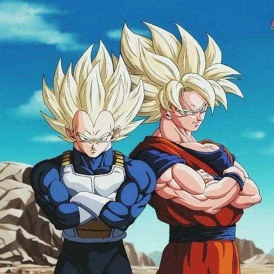 Goku and Vegeta