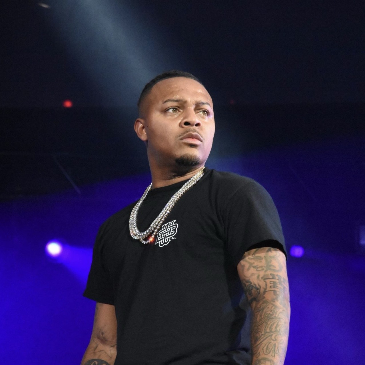 Bow Wow