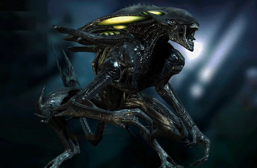 Xenomorph