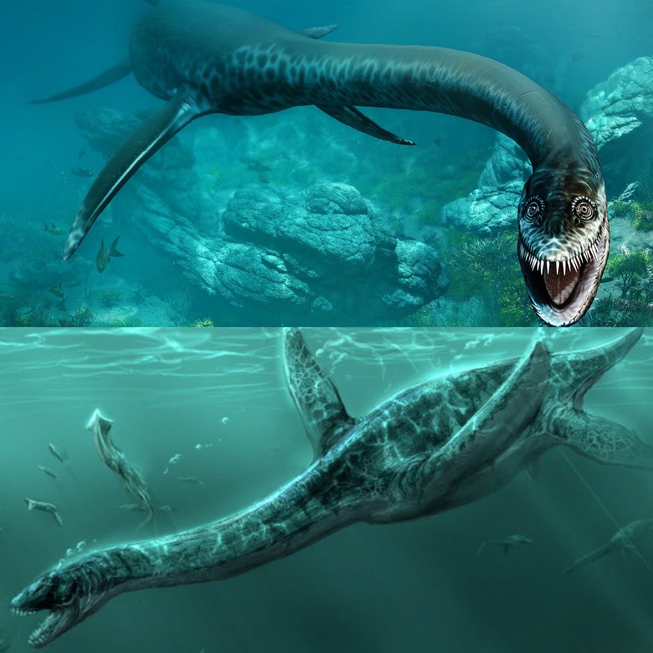 Loch Ness Monster/Nessie