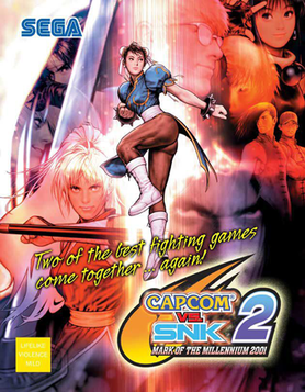 Ultimate fighting game