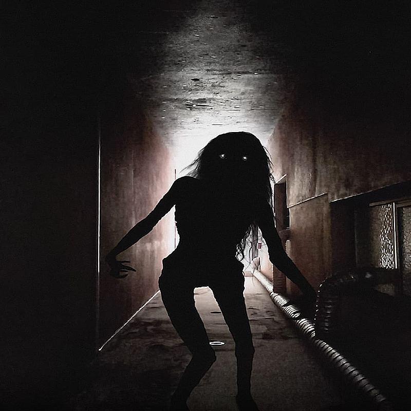 Diana Walter (Lights Out)