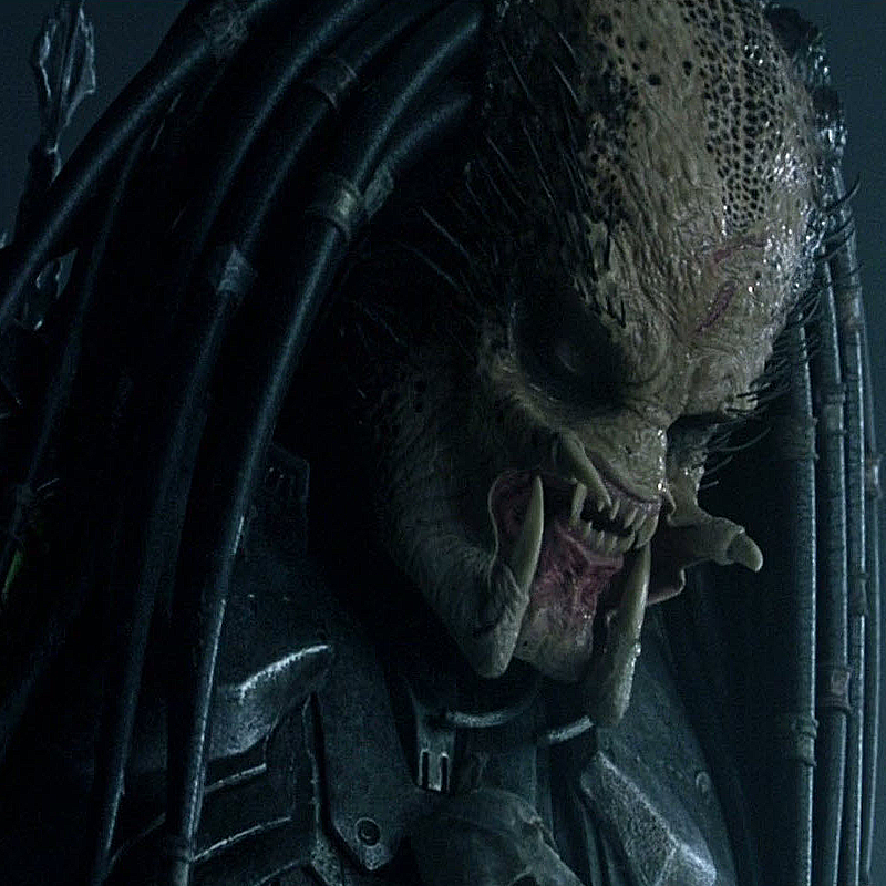 Predator