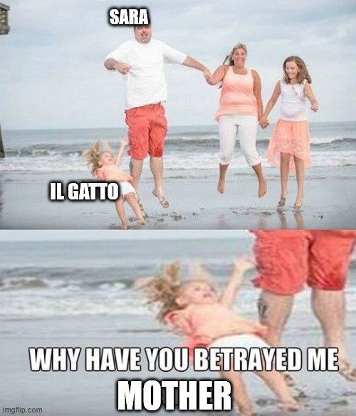 Giorno 24