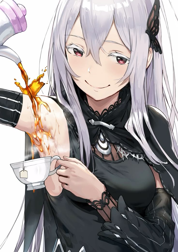 Echidna