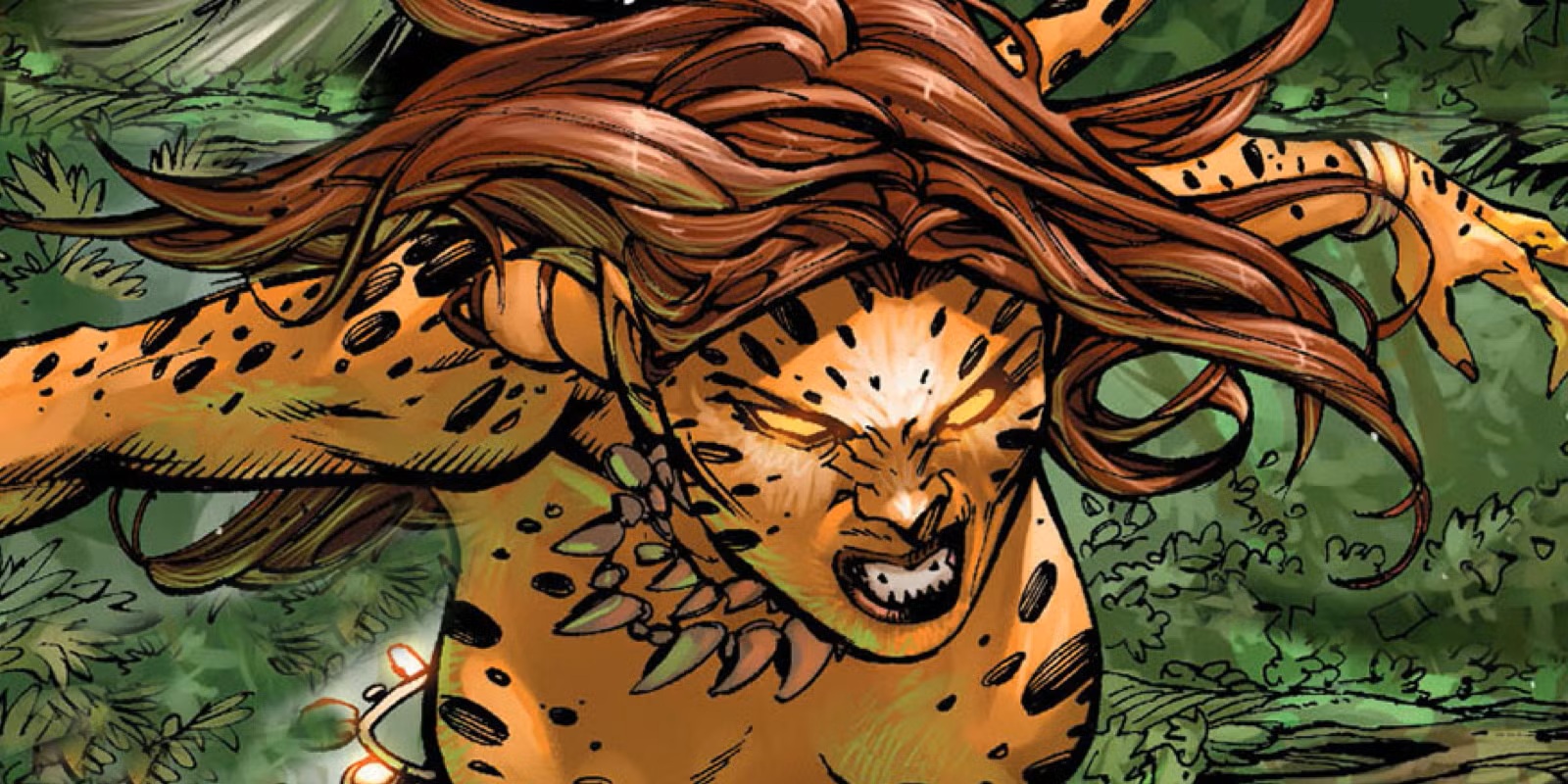 Cheetah DC Copy