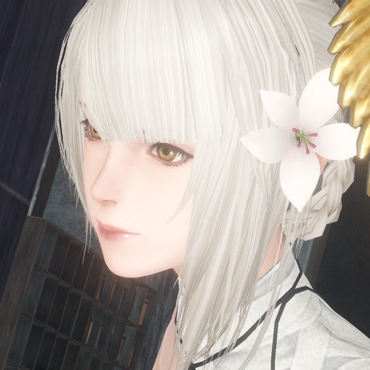 Kaine