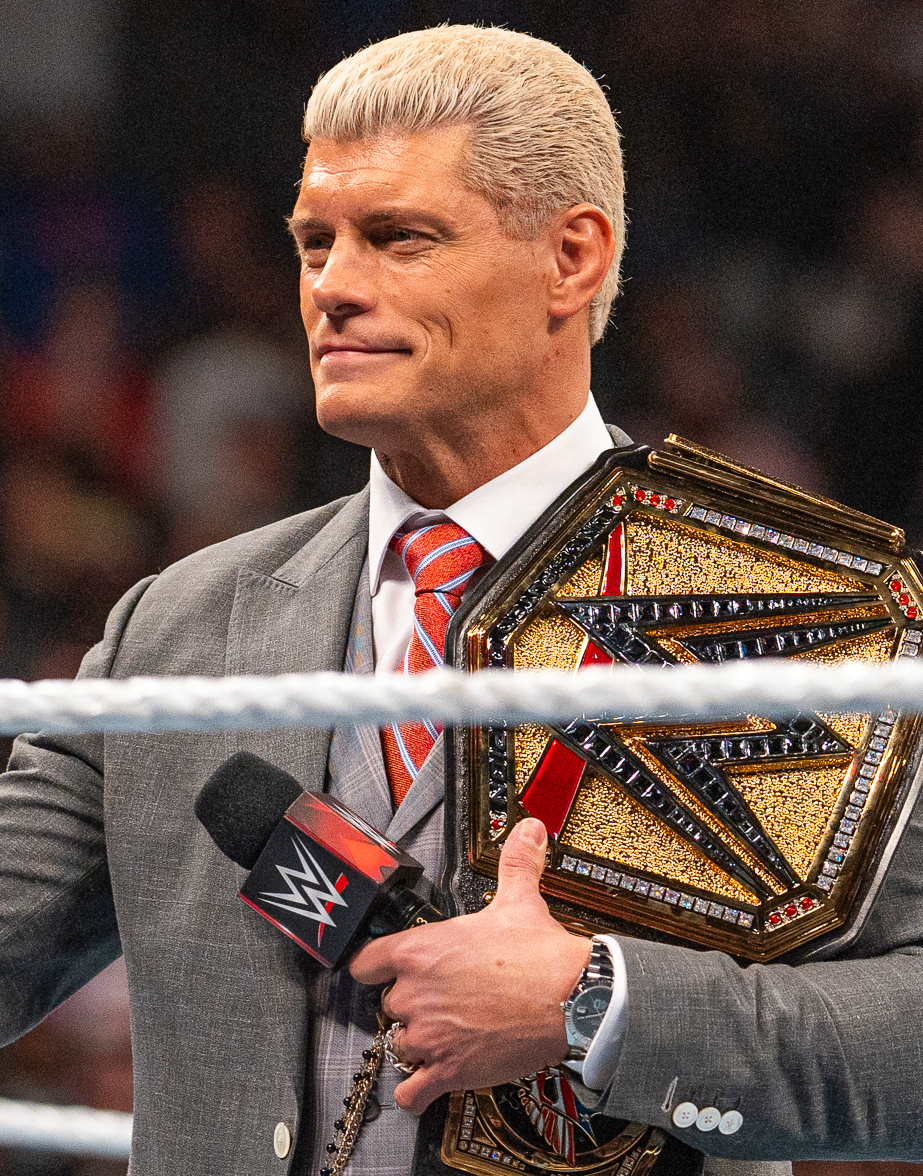 Male WWE wrestlers based on their looks