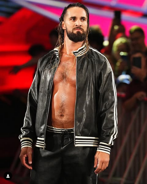 Male WWE wrestlers based on their looks