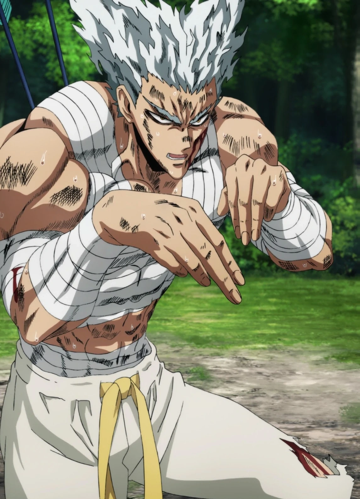 Garou_Anime_Fullbody