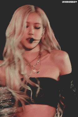 Rose 6