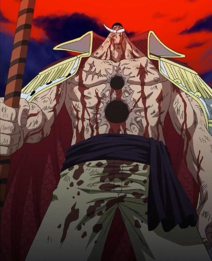Whitebeard